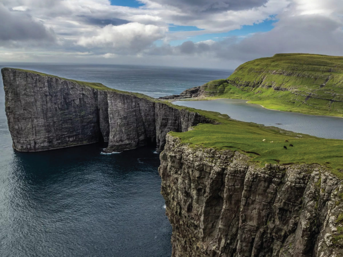 Wild Siberica Faroe Islands Martera Health Products